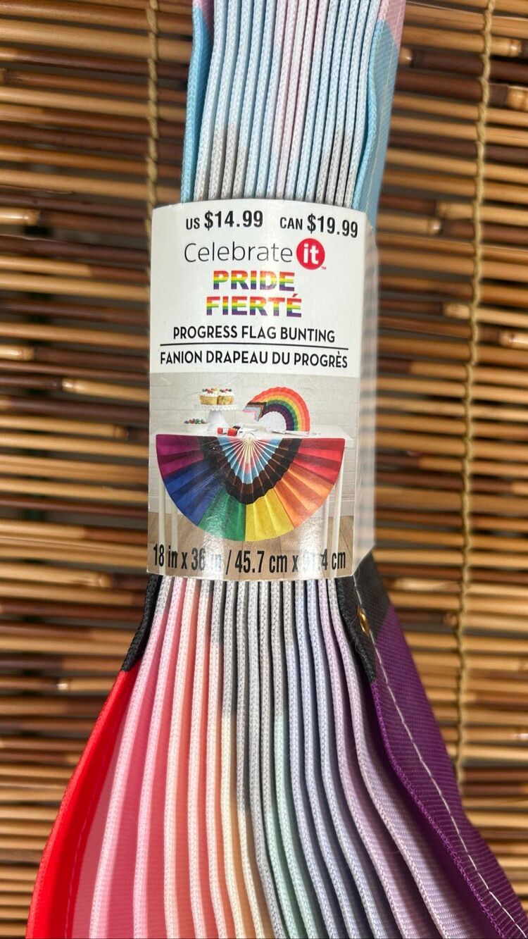Pride Progress Flag Bunting 18" x 36" Fabric Indoor Covered Patio LGBTQ+